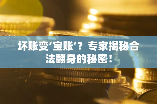 北京坏账变‘宝账’？专家揭秘合法翻身的秘密！