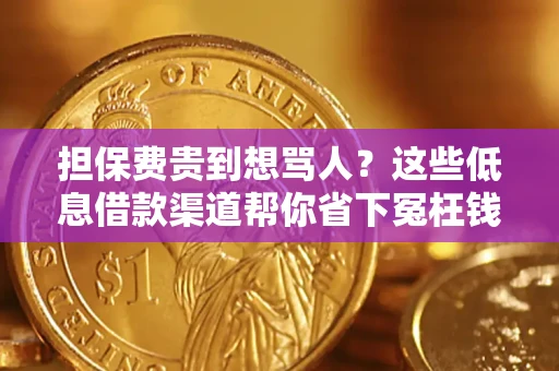 北京担保费贵到想骂人？这些低息借款渠道帮你省下冤枉钱