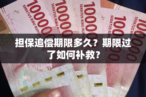 北京担保追偿期限多久？期限过了如何补救？