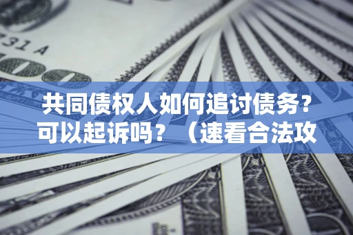 北京共同债权人如何追讨债务？可以起诉吗？（速看合法攻略）